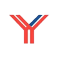 YourTeam International